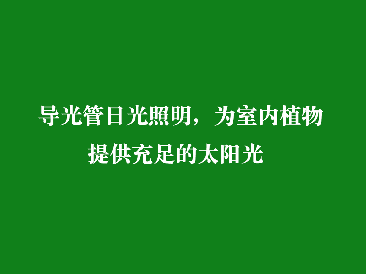 導光管日光照明，為室內植物提供充足的太陽光